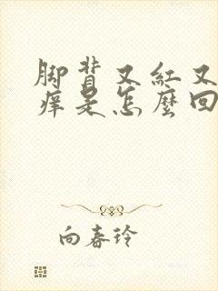 脚背又红又肿又痒是怎么回事封面