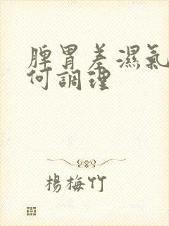 脾胃差湿气重如何调理