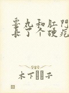 睾丸和肛门之间长了个硬疙瘩