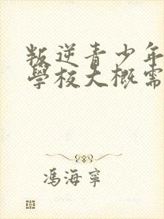 叛逆青少年特训学校大概需要多少钱