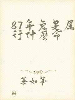 87年兔是属五行什么命