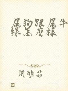 属狗跟属牛的姻缘怎么样