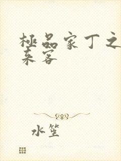 极品家丁之远方来客