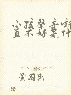 小孩声音嘶哑一直不好是什么原因引起的