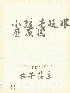 小孩老眨眼睛什么原因