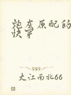 炮灰原配的人生快穿