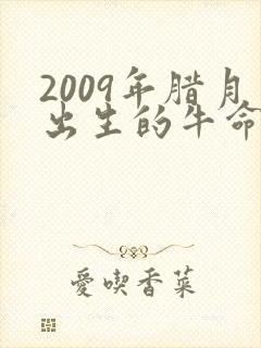 2009年腊月出生的牛命运如何