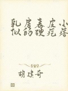 乳房表皮小豆子似的硬疙瘩