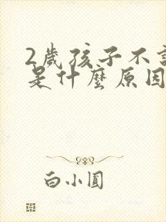 2岁孩子不说话是什么原因封面