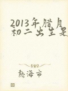 2013年腊月初二出生是什么命