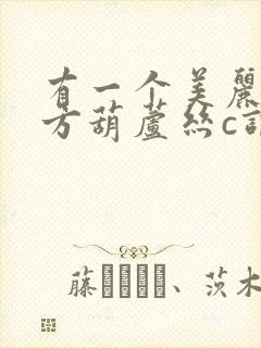 有一个美丽的地方葫芦丝c调演奏