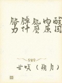 胳膊肌肉酸痛无力什么原因