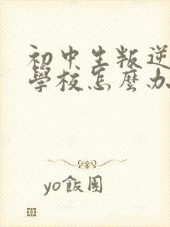 初中生叛逆不去学校怎么办