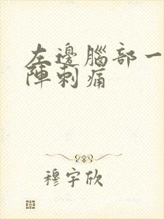 左边脑部一阵一阵刺痛