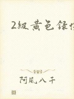 2级黄色录像