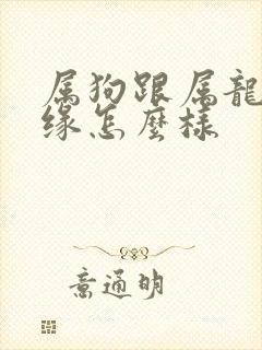 属狗跟属龙的姻缘怎么样封面