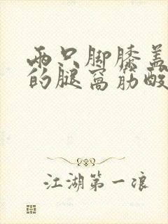 两只脚膝盖后面的腿窝筋酸疼怎么回事