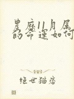 农历11月属马的命运如何封面