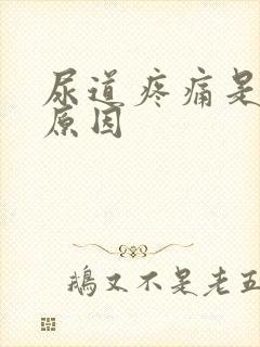 尿道疼痛是什么原因