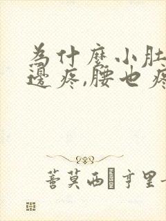 为什么小肚子下边疼,腰也疼