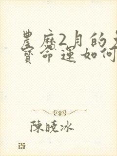 农历2月的兔宝宝命运如何封面