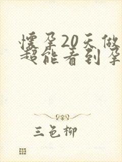 怀孕20天做b超能看到孕囊吗