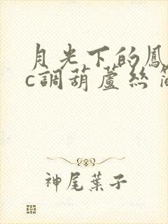 月光下的凤尾竹c调葫芦丝简谱