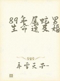 89年属蛇男一生命运及婚姻封面