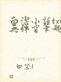 白洁小说txt无弹窗笔趣阁