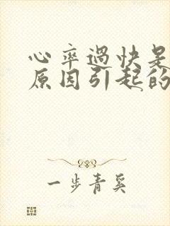 心率过快是什么原因引起的