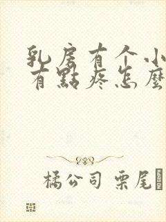 乳房有个小疙瘩有点疼怎么办