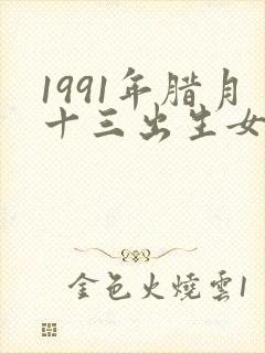 1991年腊月十三出生女孩命运