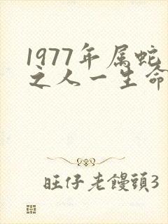 1977年属蛇之人一生命运如何