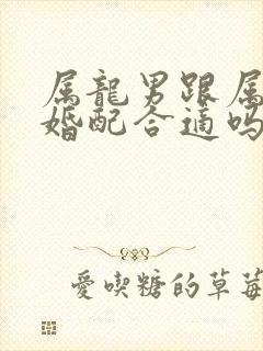 属龙男跟属龙女婚配合适吗