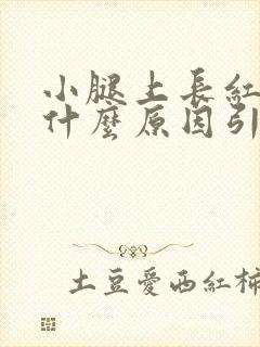 小腿上长红点是什么原因引起的