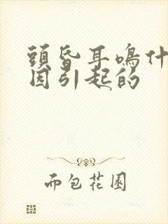 头昏耳鸣什么原因引起的封面