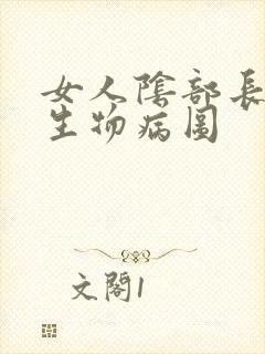 女人阴部长小赘生物病图