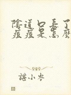 阴道口长了一颗痘痘是怎么回事呢封面