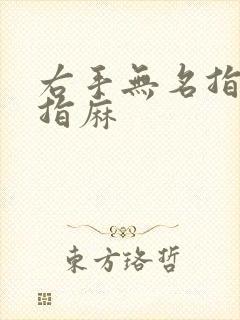 右手无名指和小指麻封面