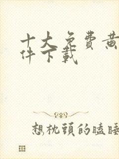 十大免费黄片软件下载