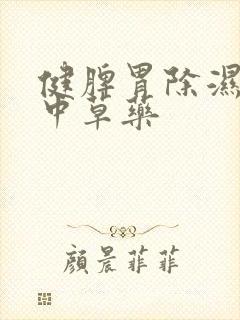 健脾胃除湿气的中草药封面