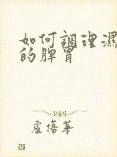 如何调理湿气重的脾胃