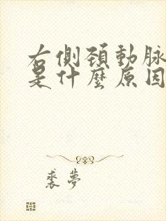 右侧颈动脉斑块是什么原因