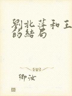 刘北萍和王长举的结局封面