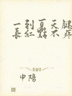 一到夏天腿上就长红点不疼不痒封面