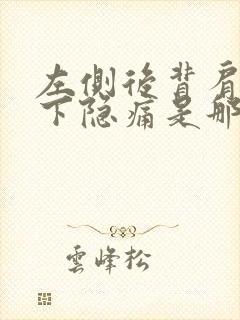 左侧后背肩胛骨下隐痛是那些原因封面