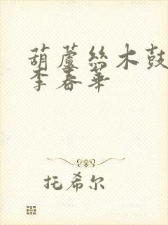 葫芦丝木鼓神韵李春华