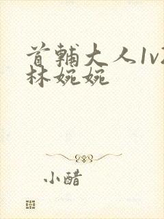 首辅大人1v2林婉婉封面