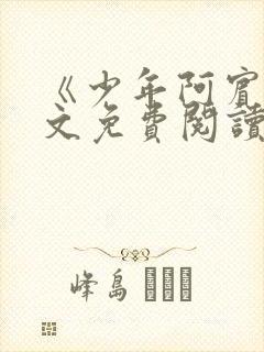 《少年阿宾》全文免费阅读