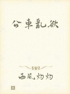 公车乱欲